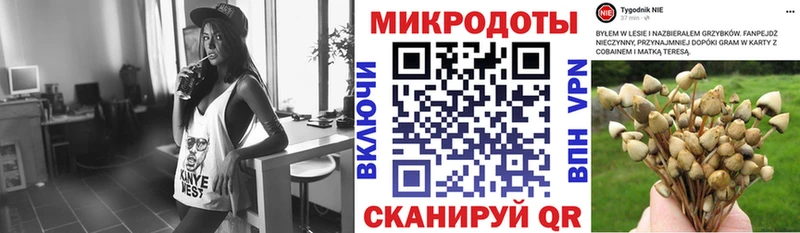 Псилоцибиновые грибы Psilocybine cubensis  мега онион  Сосновка  как найти  