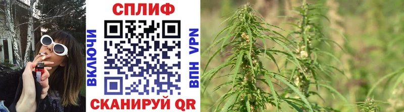 Бошки марихуана THC 21% Сосновка